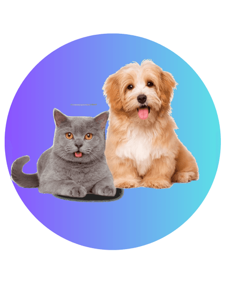 Pets